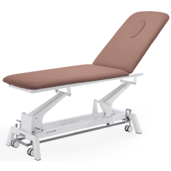 Table de Massage Gymna GO D1